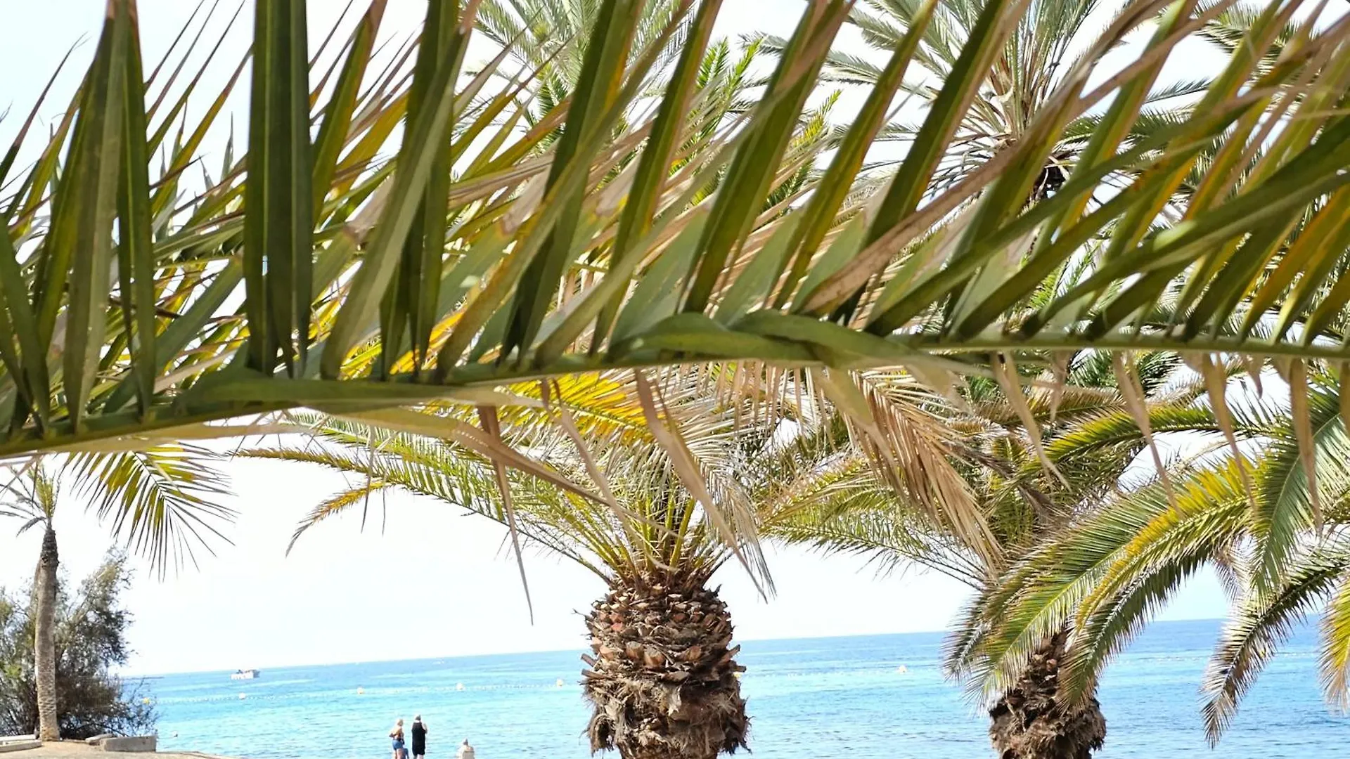 New Forever Sunshine Apartment Sea View, Los Cristianos 阿罗纳 西班牙